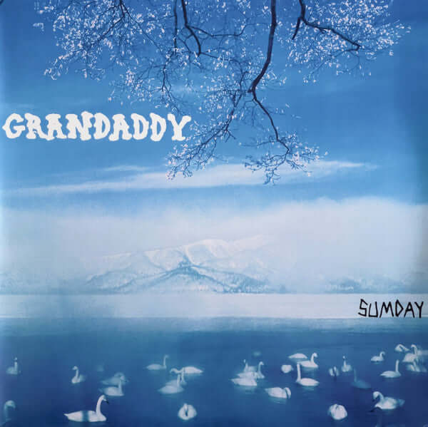 Grandaddy – Sumday - Flying Nun  | Vinyl | CD