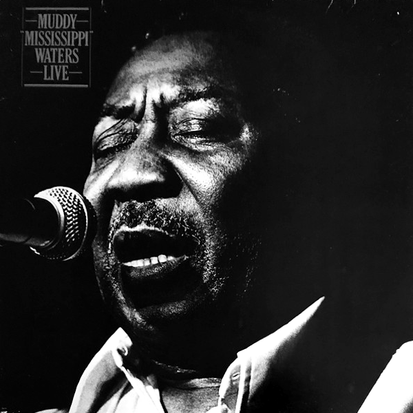 Muddy Waters- Muddy 