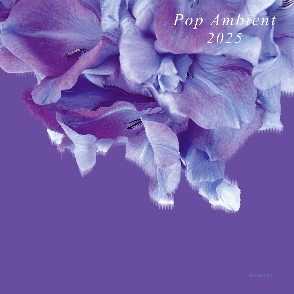 V/A - Pop Ambient 2025