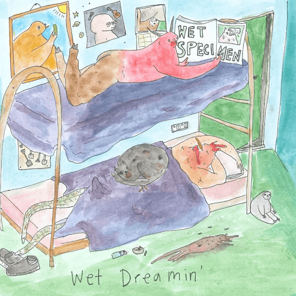 Wet Specimen - Wet Dreamin' - Flying Nun  | Vinyl | CD