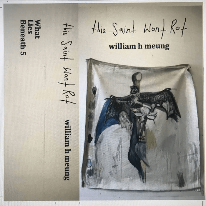 William H Meung - This Saint Wont Rot - Flying Nun  | Vinyl | CD