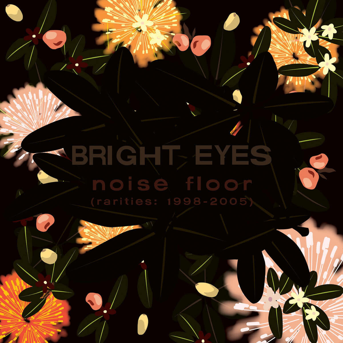 Bright Eyes - Noise Floor (Rarities: 1998-2005) - Flying Nun  | Vinyl | CD