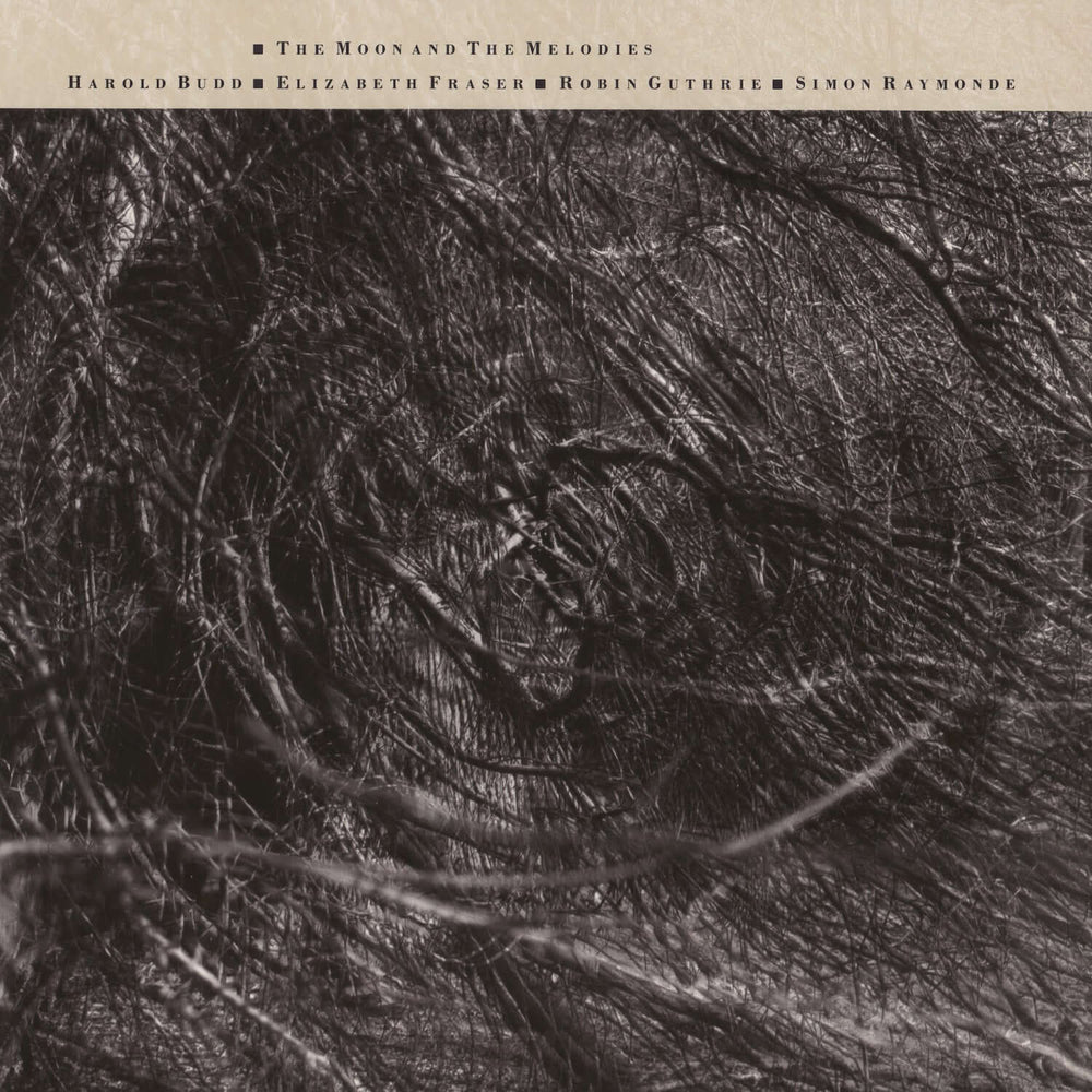 Cocteau Twins & Harold Budd - The Moon and The Melodies (Pre-Order Now | Pay Later) - Flying Nun  | Vinyl | CD