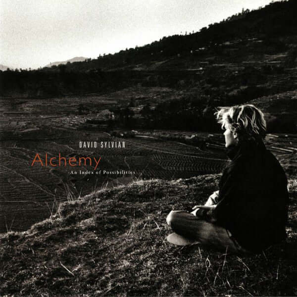 David Sylvian – Alchemy: An Index Of Possibilities - Flying Nun  | Vinyl | CD