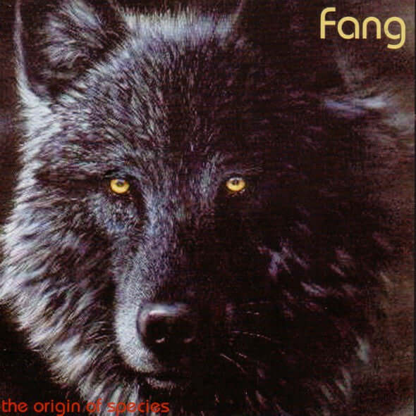 Fang - The Origin Of Species - Flying Nun  | Vinyl | CD