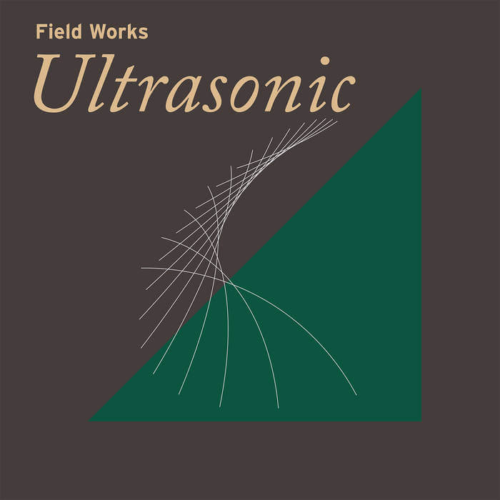 VA - Field Works: Ultrasonic - Flying Nun  | Vinyl | CD