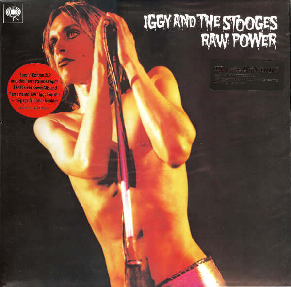 Iggy Pop & The Stooges - Raw Power - Remastered 2 x LP - Flying Nun  | Vinyl | CD