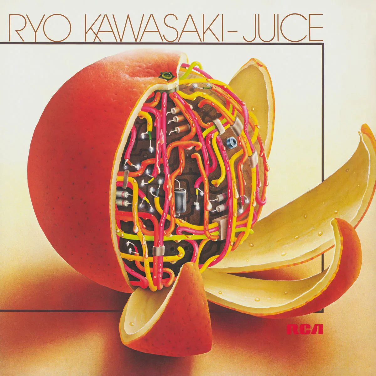 Ryo Kawasaki - Juice - Flying Nun  | Vinyl | CD