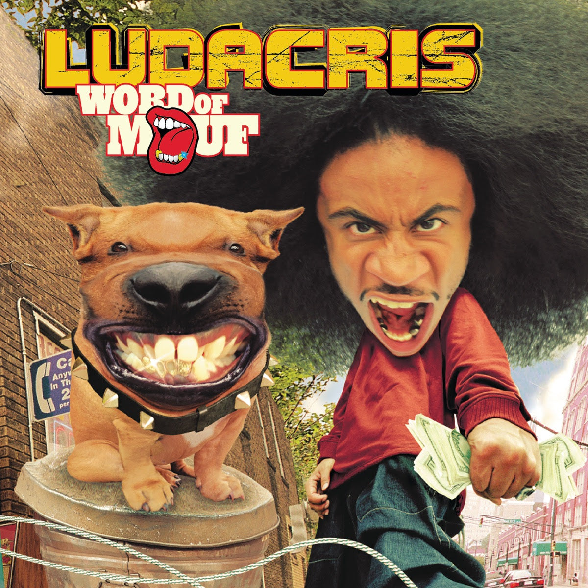 Ludacris – Word Of Mouf - Flying Nun  | Vinyl | CD