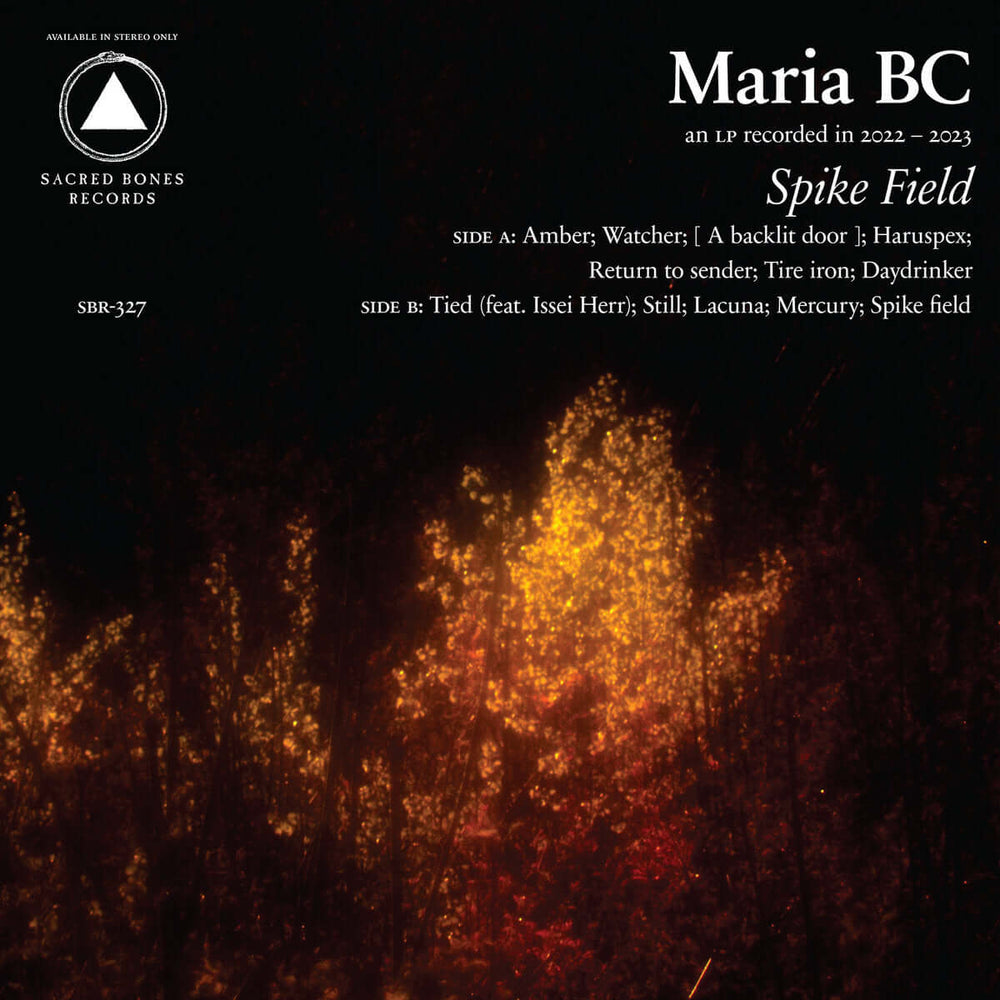 Maria BC - Spike Field - Flying Nun  | Vinyl | CD