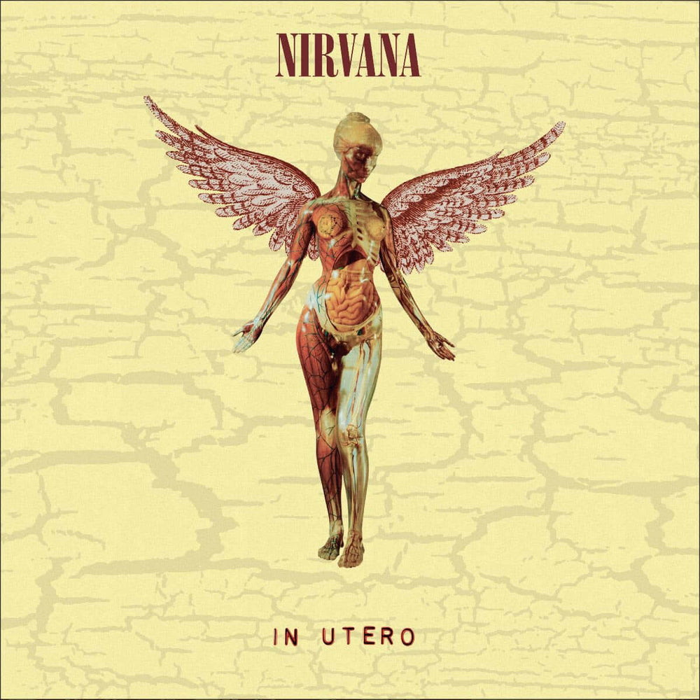 Nirvana - In Utero - Flying Nun  | Vinyl | CD