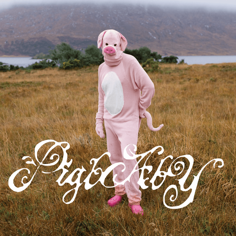 pigbaby - i don't care if anyone listens to this shit once you do - Flying Nun  | Vinyl | CD