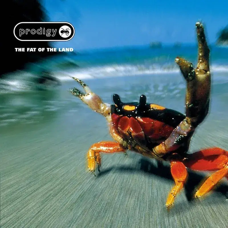 The Prodigy - The Fat Of The Land - Flying Nun  | Vinyl | CD