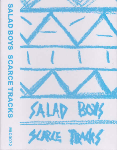 Salad Boys - Scarce Tracks - Flying Nun  | Vinyl | CD