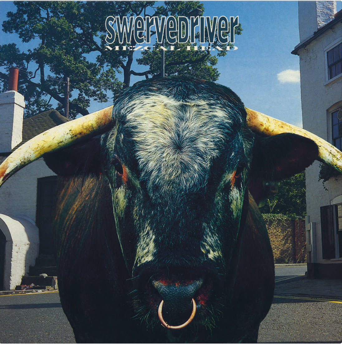 Swervedriver – Mezcal Head - 30th Anniversary Edition - Flying Nun  | Vinyl | CD