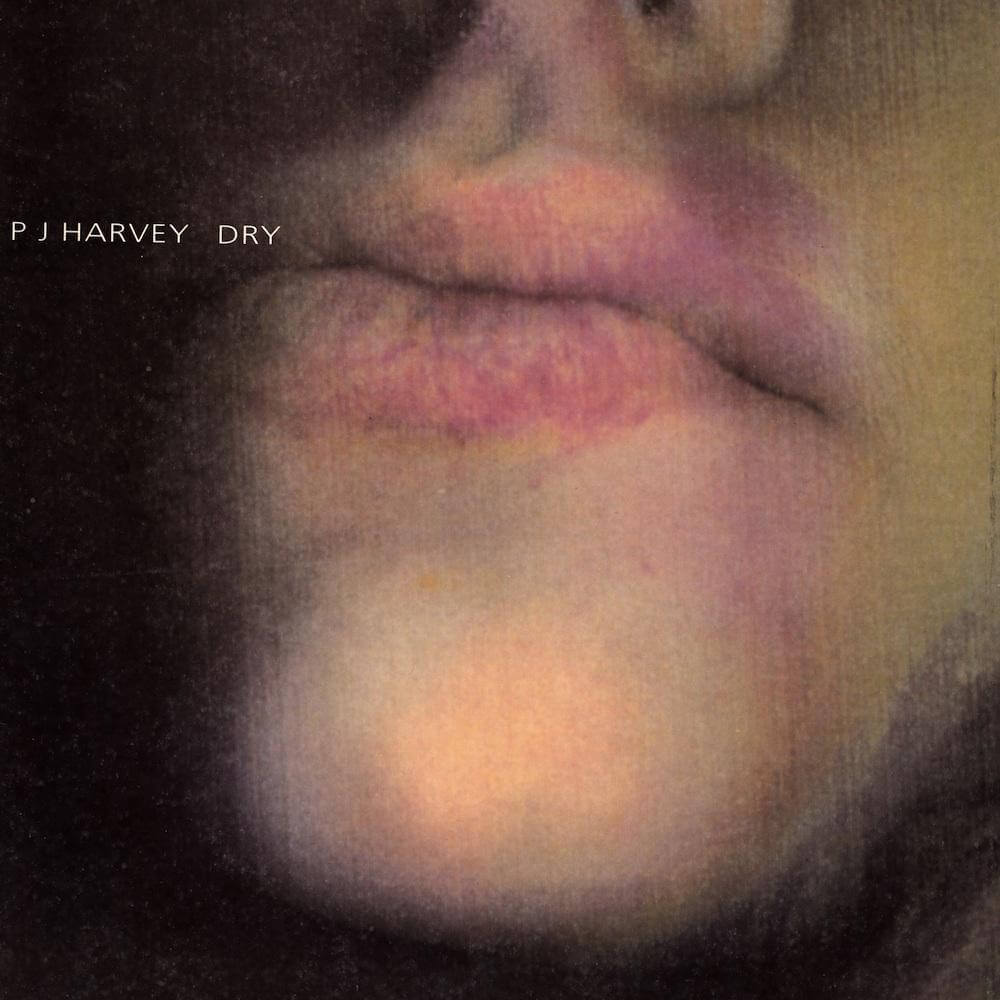 PJ Harvey – Dry - Flying Nun  | Vinyl | CD