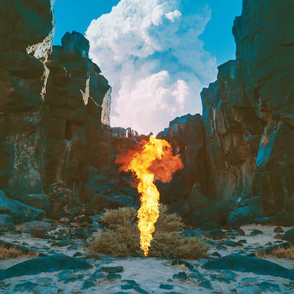 Bonobo – Migration - Flying Nun  | Vinyl | CD