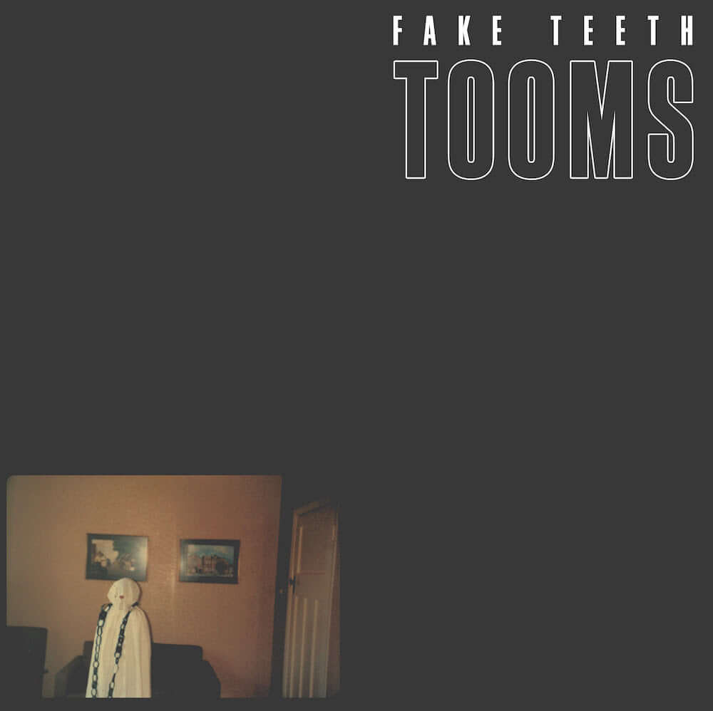 Tooms - Fake Teeth - Flying Nun  | Vinyl | CD