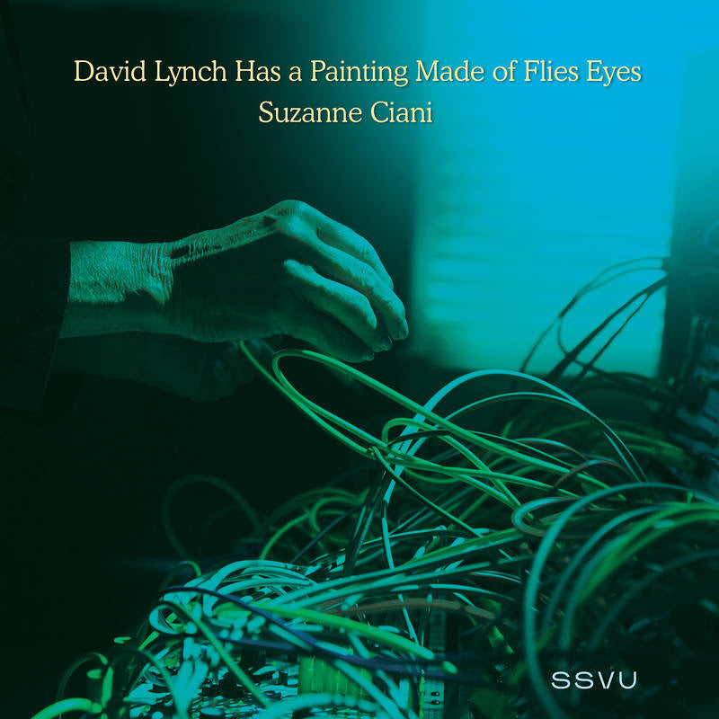 SSVU - David Lynch Has A Painting Made of Flies Eyes / Suzanne Ciani - Flying Nun  | Vinyl | CD