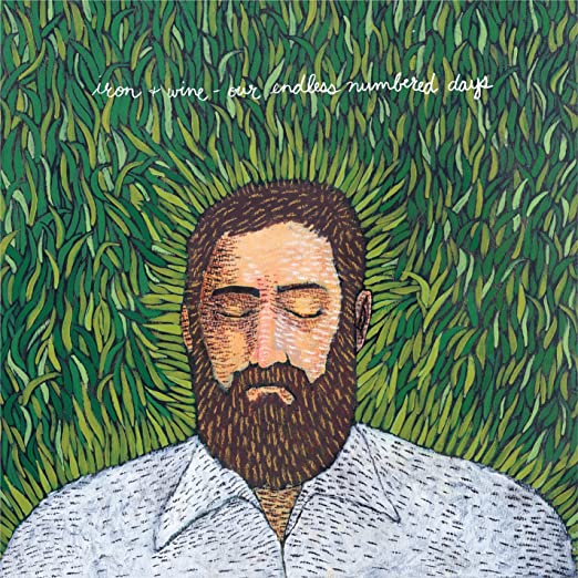 Iron And Wine - Our Endless Numbered Days - Flying Nun  | Vinyl | CD